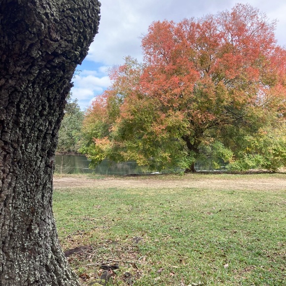 Meet your Posher, Molly - Picture 1 of 1